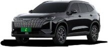 Beispielsweise: GWM Haval H6