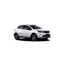 Bijvoorbeeld: Geely GX3