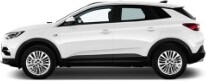 Bijvoorbeeld: Opel Crossland