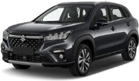 Bijvoorbeeld: Suzuki S-Cross