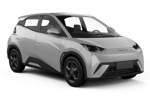 Bijvoorbeeld: BYD Seagull