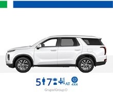 Beispielsweise: Hyundai Palisade