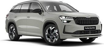 Bijvoorbeeld: Skoda Kodiaq