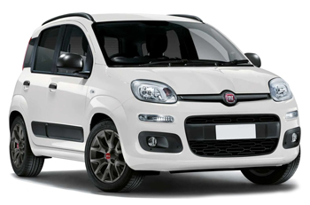 ﻿For example: Fiat Panda