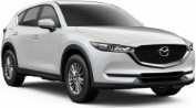 Bijvoorbeeld: Kia Seltos