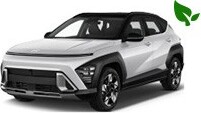 Bijvoorbeeld: N1 Hyundai Kona