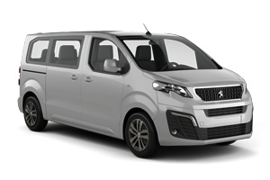 For example: Peugeot Traveller