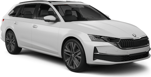 Bijvoorbeeld: Skoda Octavia Combi