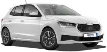 Esempio: Skoda Fabia matik