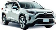 Bijvoorbeeld: Toyota RAV4