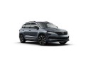 Esempio: Skoda Karoq