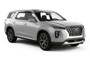 ﻿Por exemplo: Hyundai Palisade