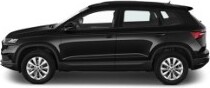 Bijvoorbeeld: Skoda Karoq