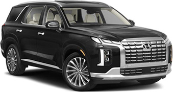 Por ejemplo: Hyundai Palisade